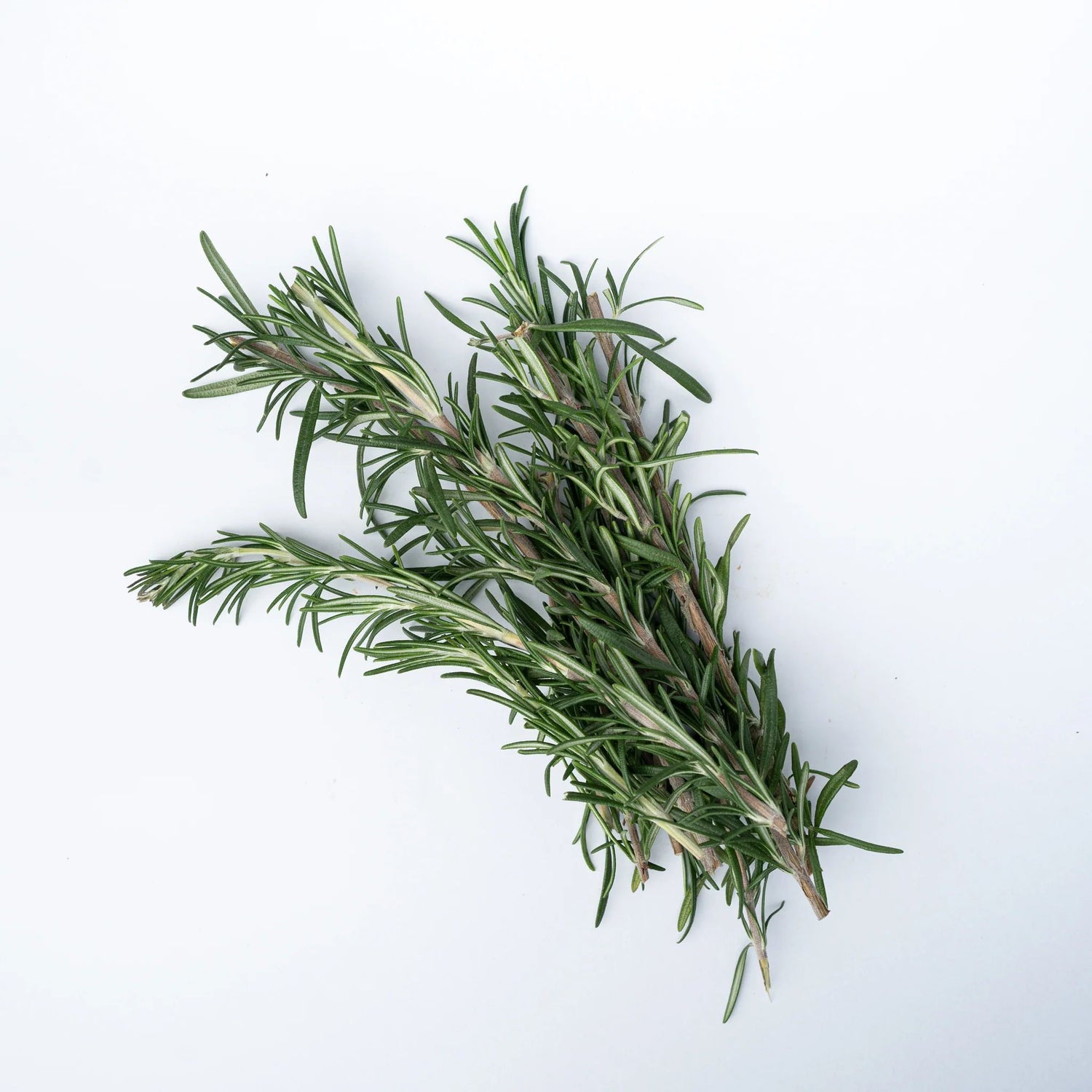Rosemary for Faster Hair Growth